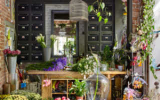 Открываем цветочный бизнес