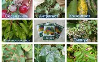 Железный купорос применение в садоводстве осенью